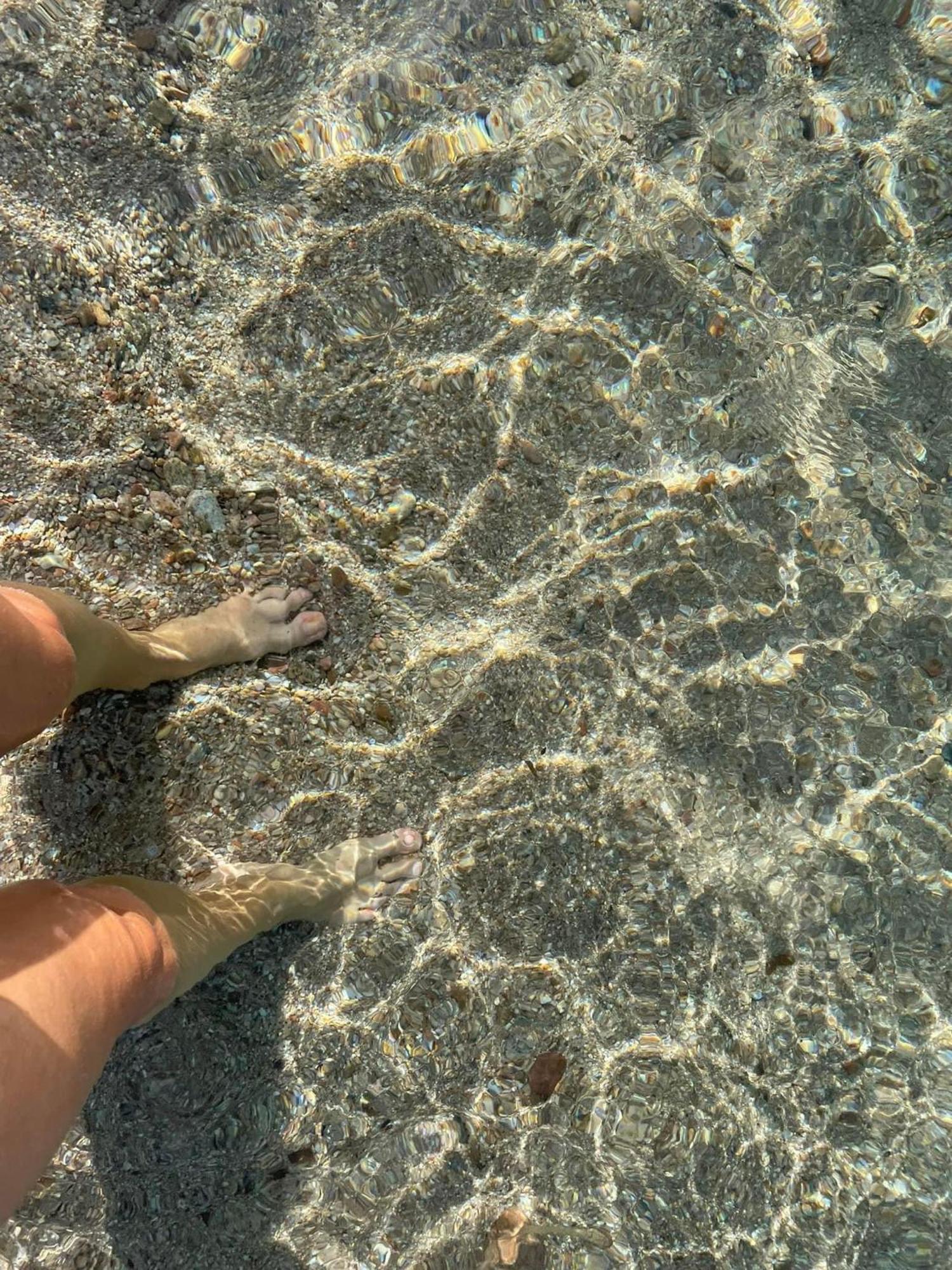 La Belle Vie F4 Bord De Plage Avec Jardin Calcatoggio  Bagian luar foto
